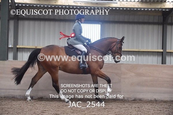 JAC_2544 - CLASS 3 Intermediate Working Hunter