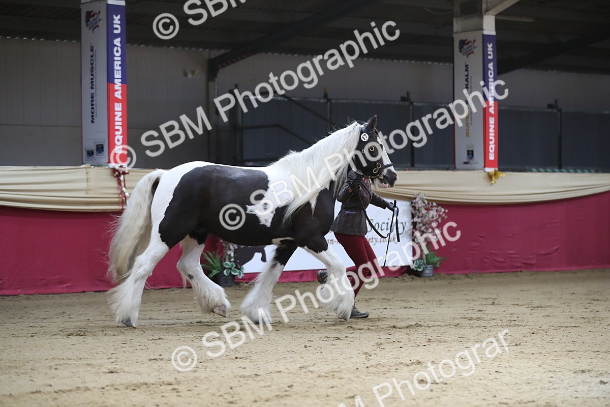 SBM_01319 - Class 3a Area IH Pre Vet