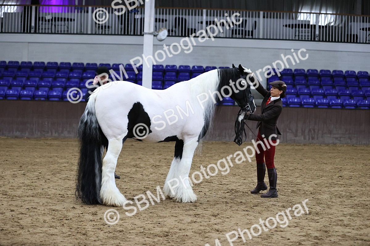 SBM_5644 - Class 40 - RESS In Hand Qualifier