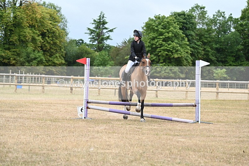 WJ6_0408 - Class 13 Novice Jumping 60cm