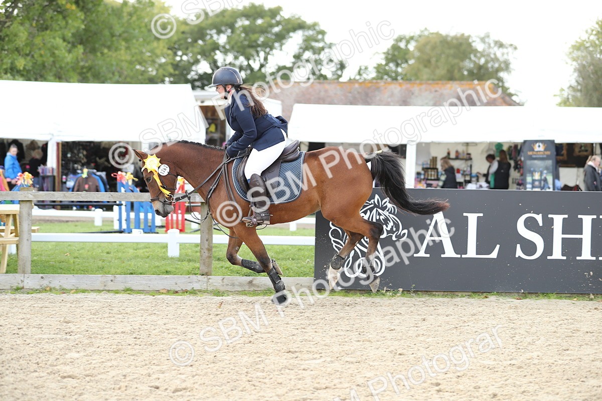 SBM_06583 - J29 - Senior Horse & Pony 65cm Championship