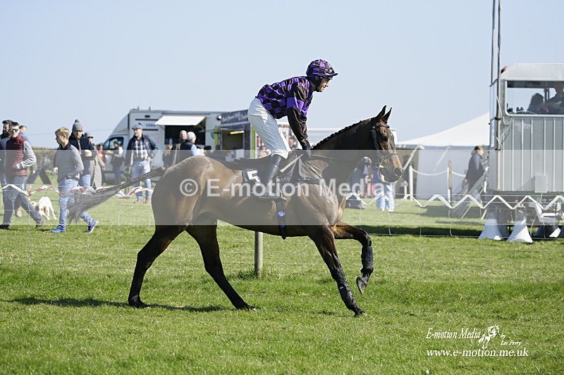 PtP 190322 281 - Wilton Hunt PtP Milborne St Andrew 19/03/22