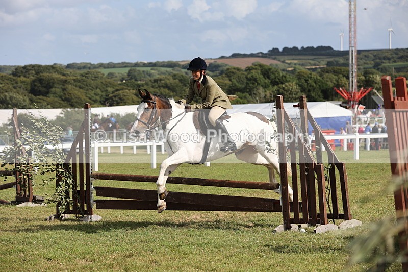 JPP_2813 - Class 20: Working Hunter 70cm