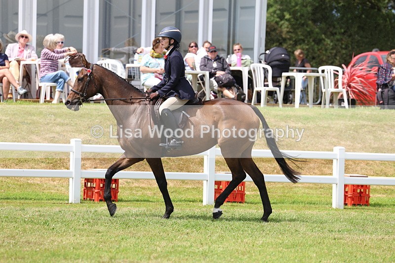 3E7A2363 - Class 11: Retraining of Racehorse