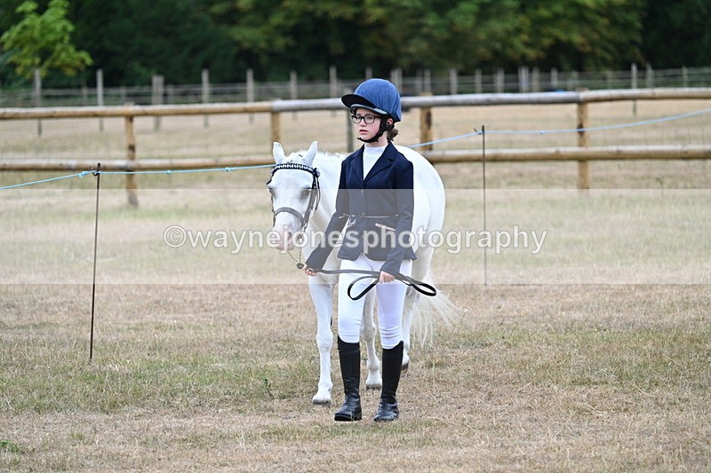 WJ7_8025 - Class 4 Prettiest Mare up to 14.2hh