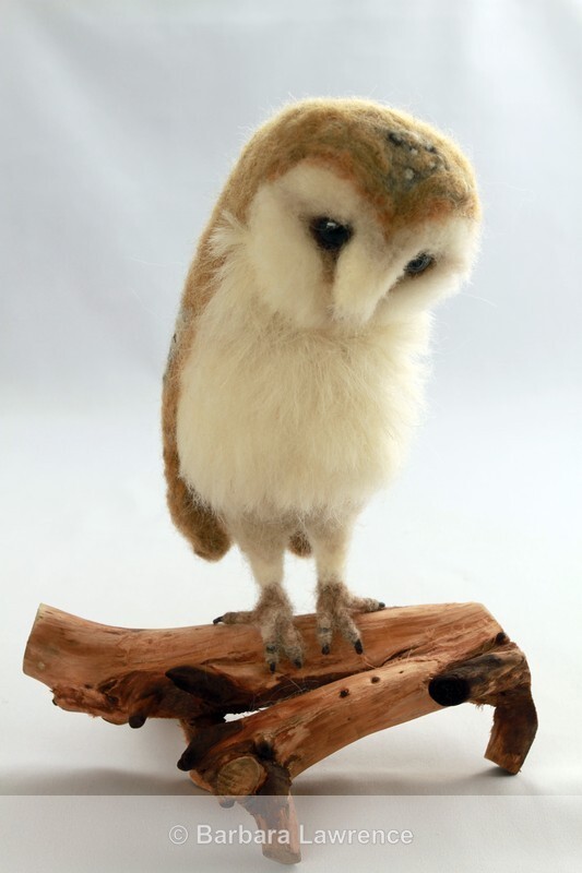 Large Barn Owl - Gallery