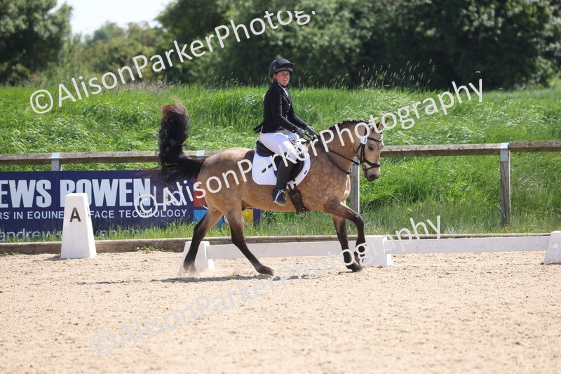 20250520-0788 - Class 5 - Novice 2