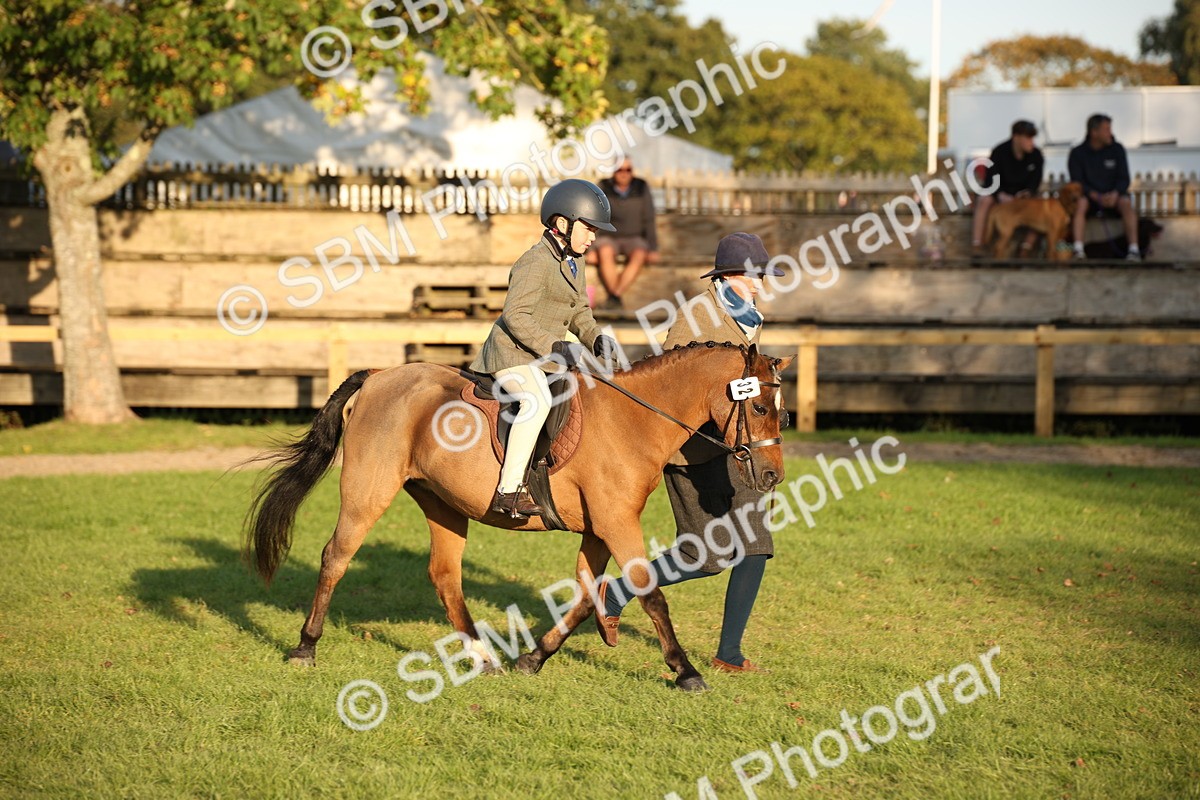 SBM_54471 - S27 - Mature Veteran - Ridden