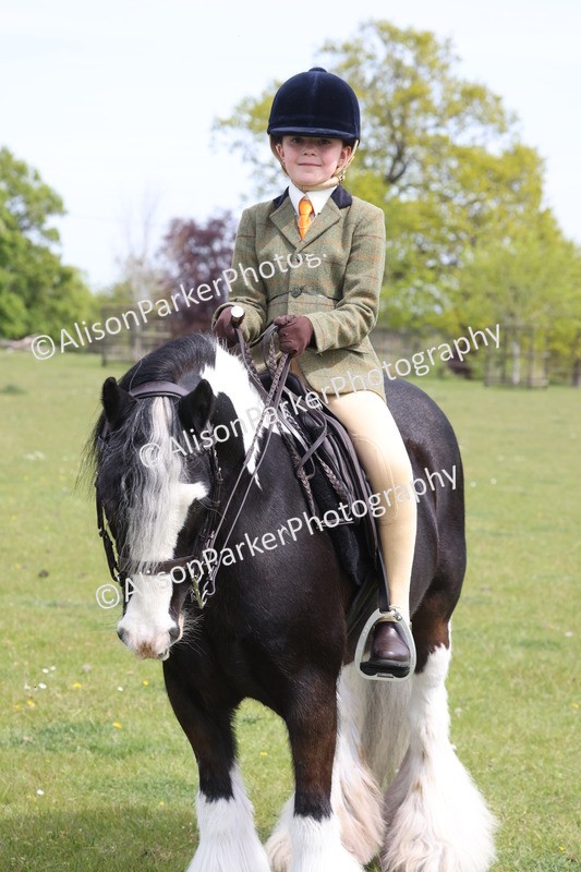 20260426-3028 - Class 33 - Best Pony 14.2hh and Under