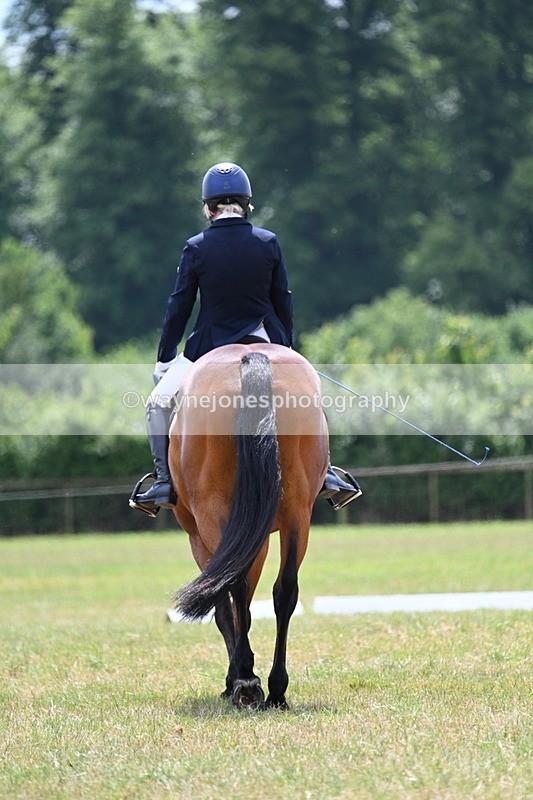 WJ7_5569 - Time 11:52 to 12:10