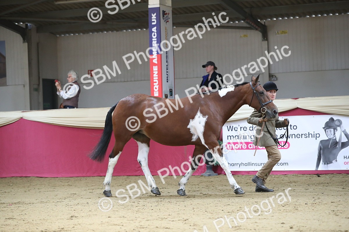 SBM_01306 - Class 3a Area IH Pre Vet