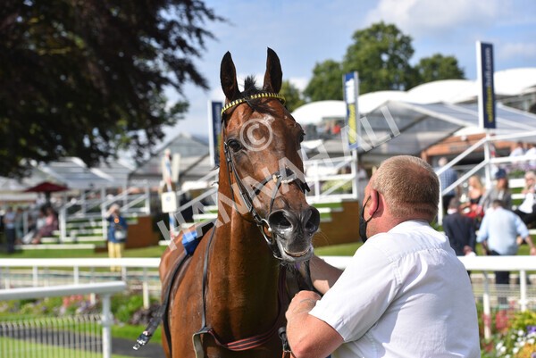 yr09072021r5-59 - Race 5: 4.20pm Garbutt + Elliott Stakes