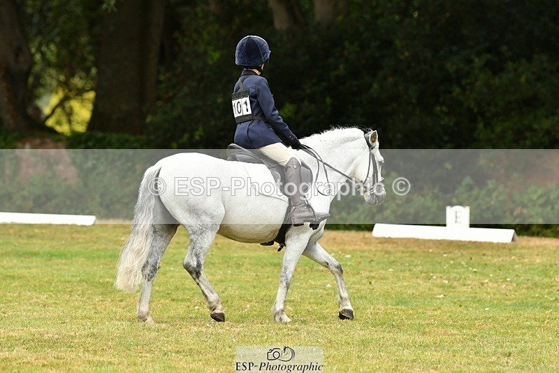 250820A-120916-05474 - 12 to 13.00