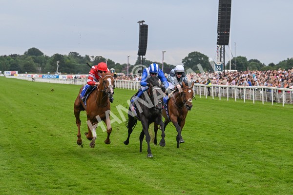 270724-Race 1-Alflaila-7001 - Race 3 3.15pm Sky Bet York Stakes