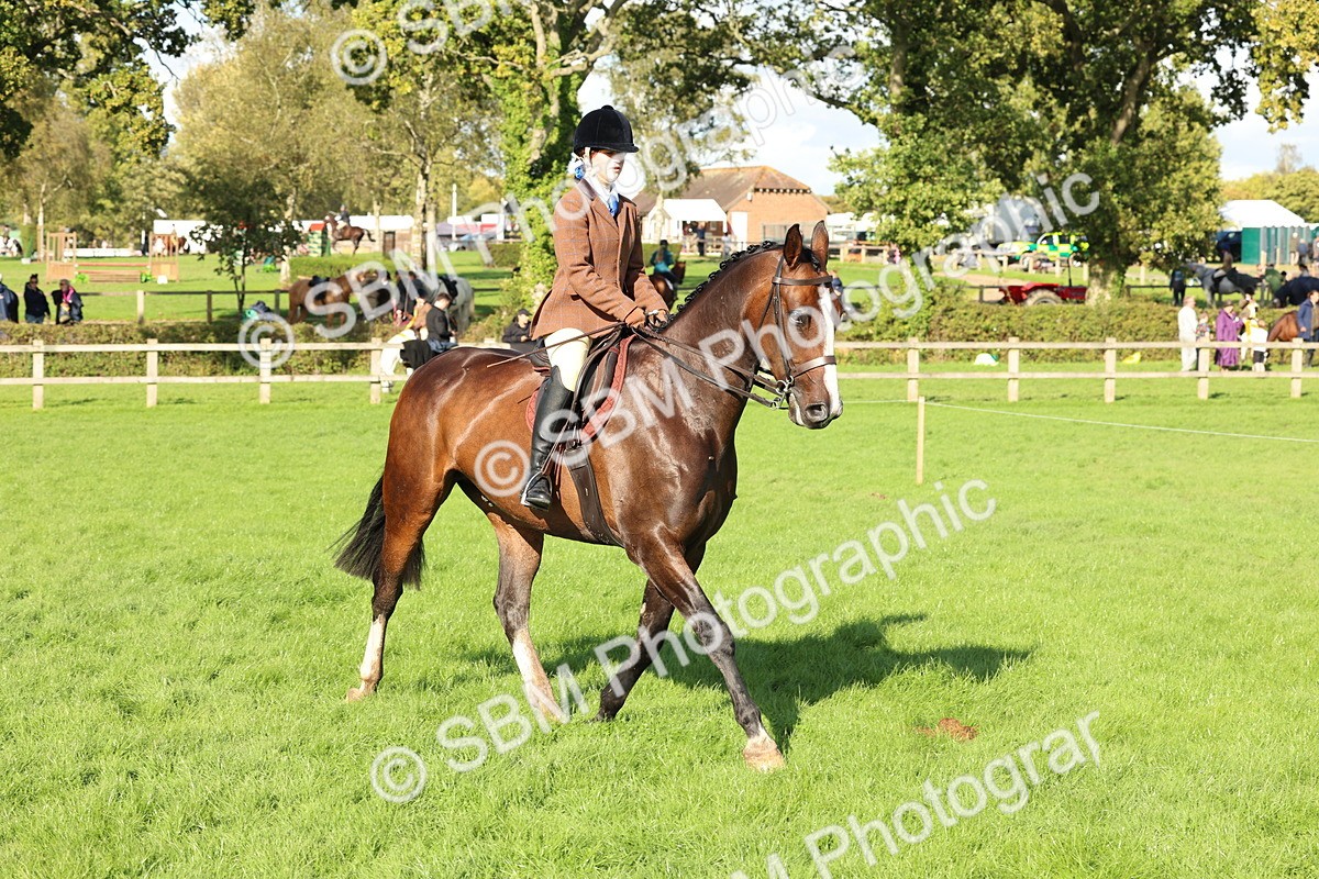 SBM_50116 - S34 - Novice & Newcomers Working Hunter
