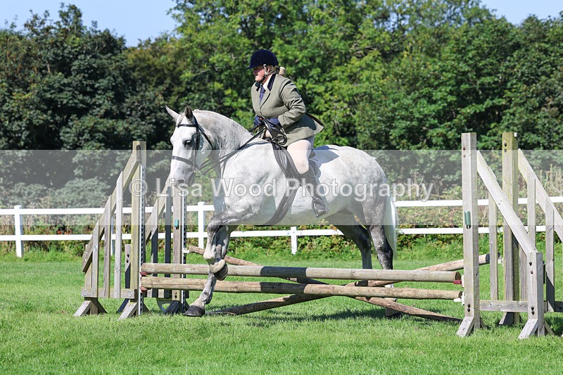 3E7A8245 - Class 4: Novice working Hunter