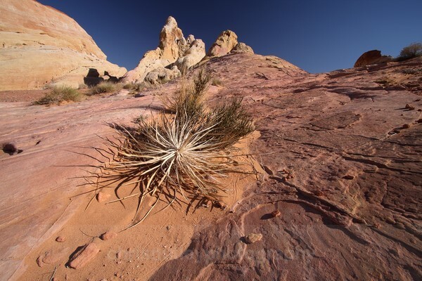  - Australian and American Landscapes