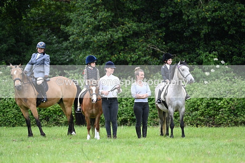 WJ7_4190 - Class 14A Handsome Gelding