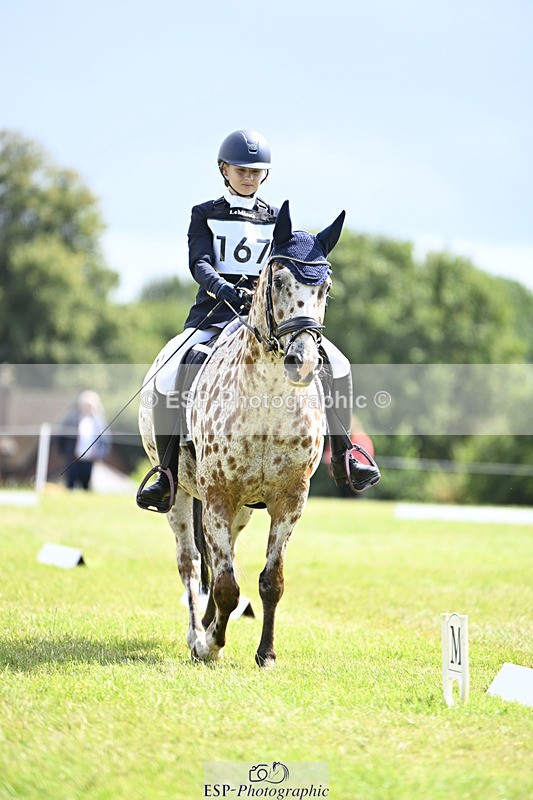 240824X-125523-26613 - D80 Section E and F 12.00 to 13.20