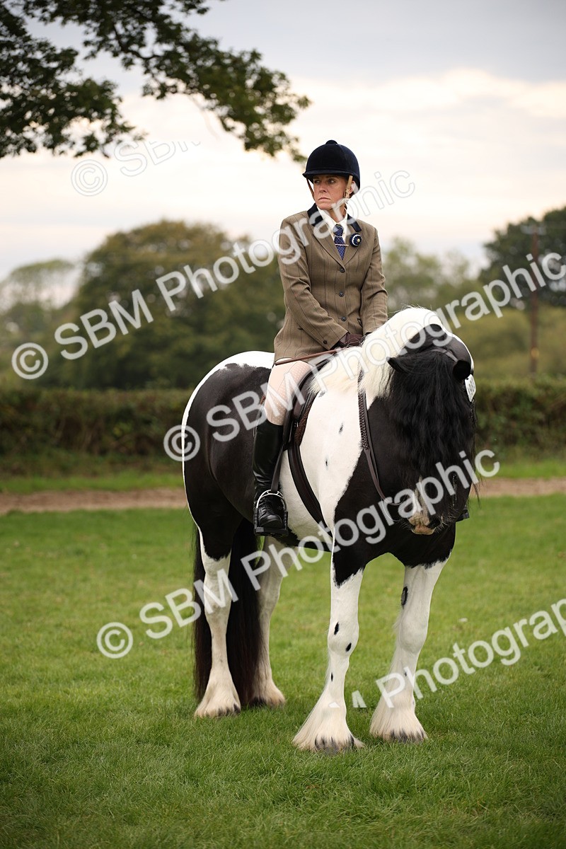 SBM_73468 - S68 - Traditional Cob Ridden
