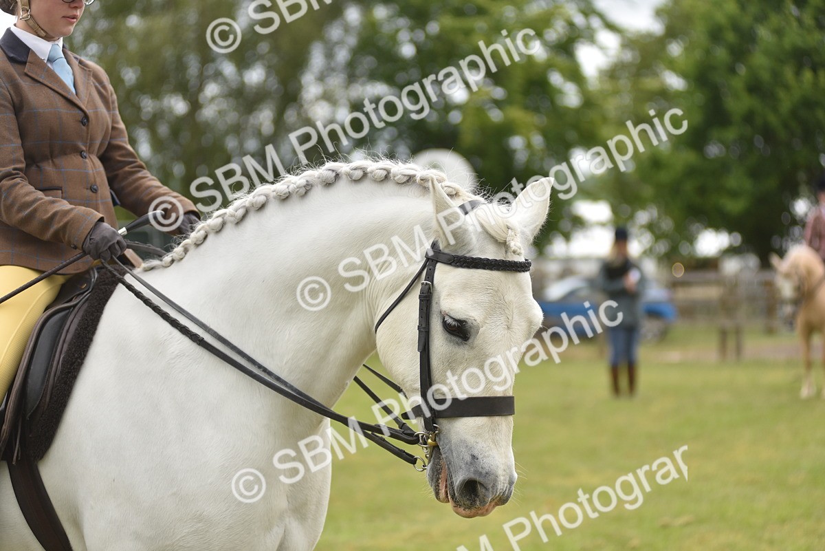 SBM_12016 - Class 110-112 - LIHS BSPS Performance Pones