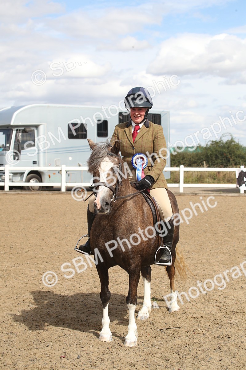 SBM_15183 - Class 505b - M&M Working Veteran - 50cm (20+)