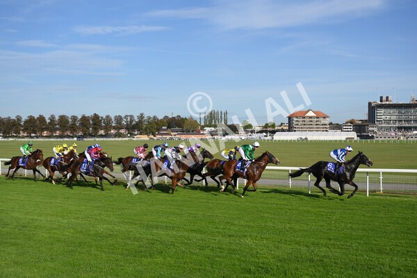 yr08102021r4-23 - Race 4 3.50pm Casumo Dare To be Different Handicap