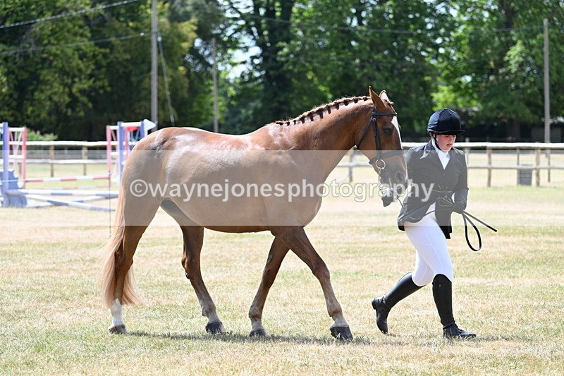 WJ7_1997 - Class 4a Prettiest Mare 14.2hh and over hand