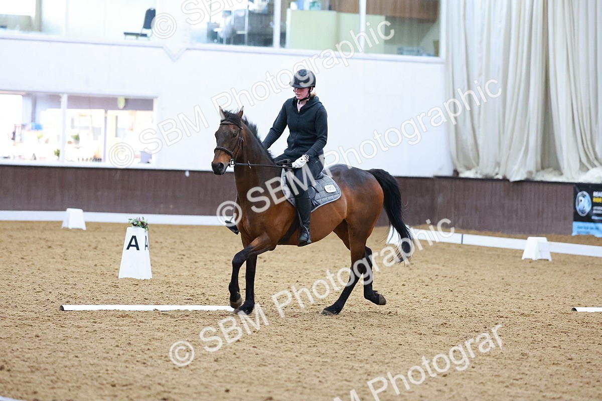 1I0A0882 - Class 3-6 - Prelim 1-Novice 2