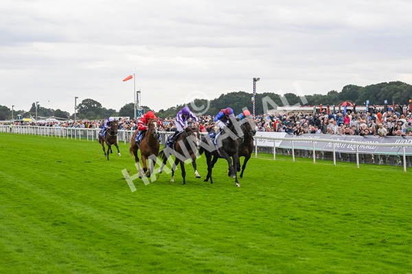 210824-Race 3-Los Angeles-4875 - Race 3 3.00pm Sky Bet Great Voltigeur Stakes