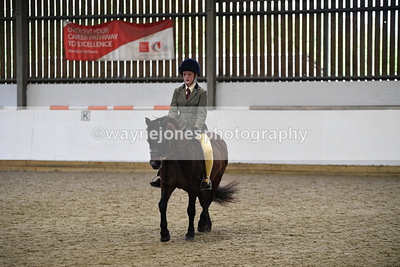 WJ5_6910 - Class 10 Childs Pony