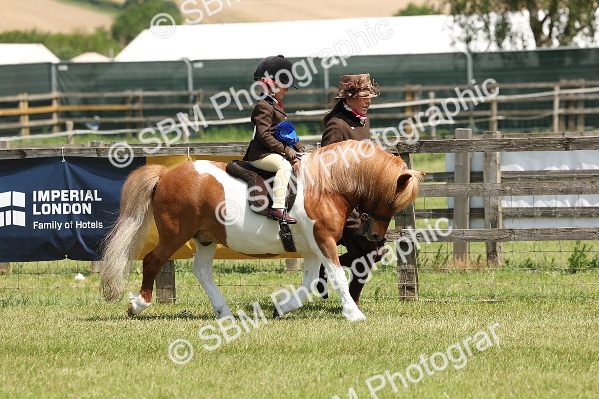 SBM_05401 - Class 24-25 - Mountain & Moorland In Hand Lead Rein and First Ridden