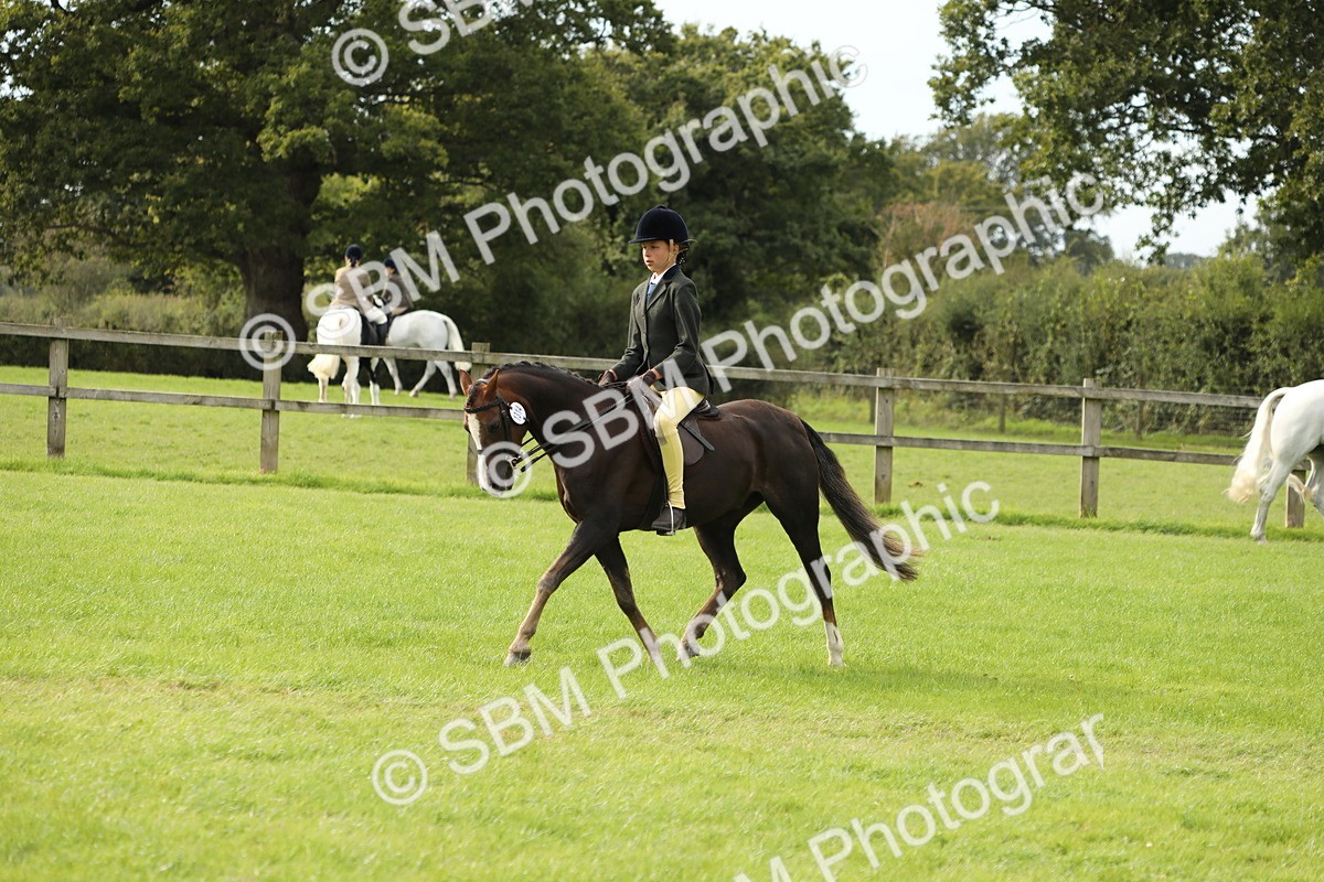SBM_71501 - S41 - Ridden Equitation (Best Rider)