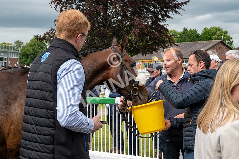 070624-Race 4-Alfa Kellenic-2576 - Race 4