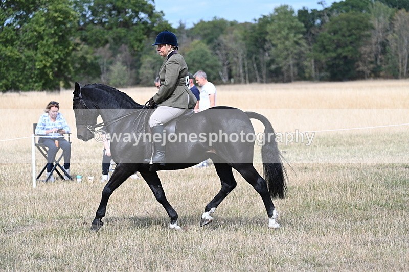 WJ7_5866 - Class 13 Ridden Veterans