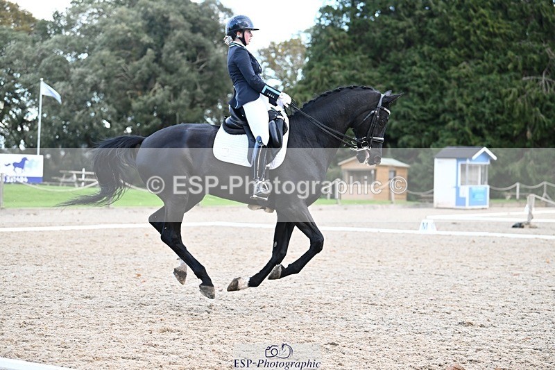 231110-144519-02022 - Cls 8 Medium 75Q