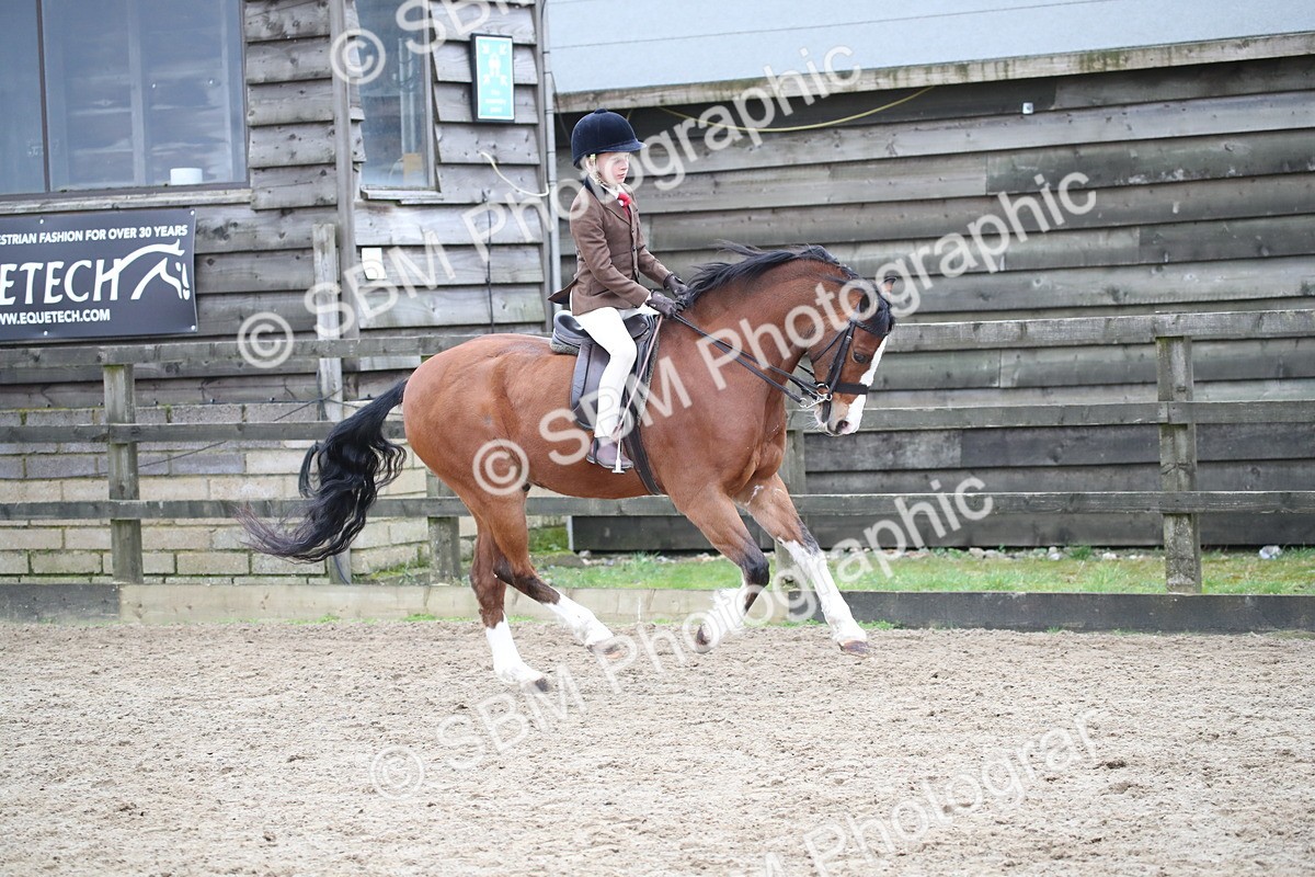 SBM_005921 - Class 10-13 - RIHS Small Large Breeds