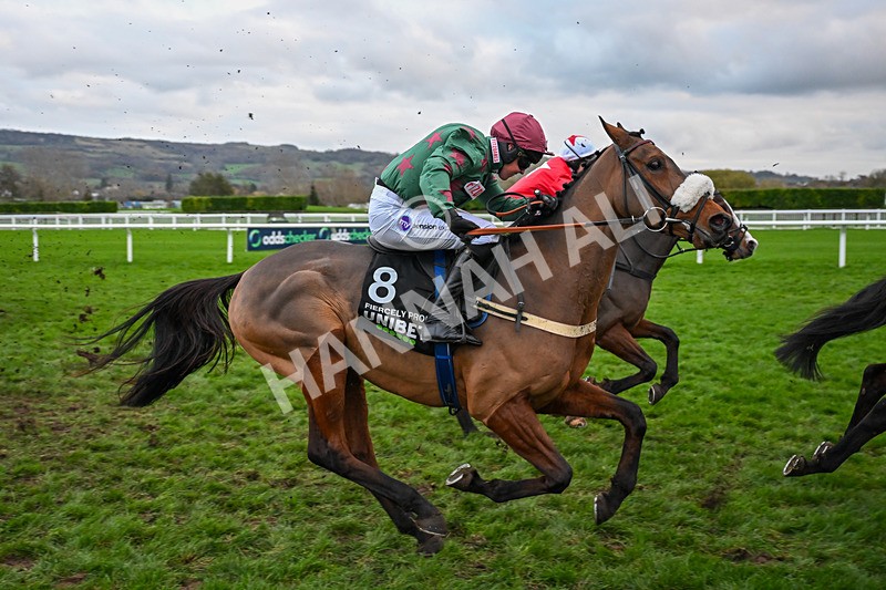 161125-Race 5-Fiercely Proud-6409 - Race 5