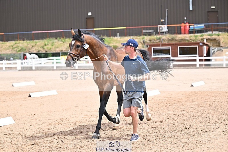 250716-132648-00518 - Trot Up 12.30 to 1.30