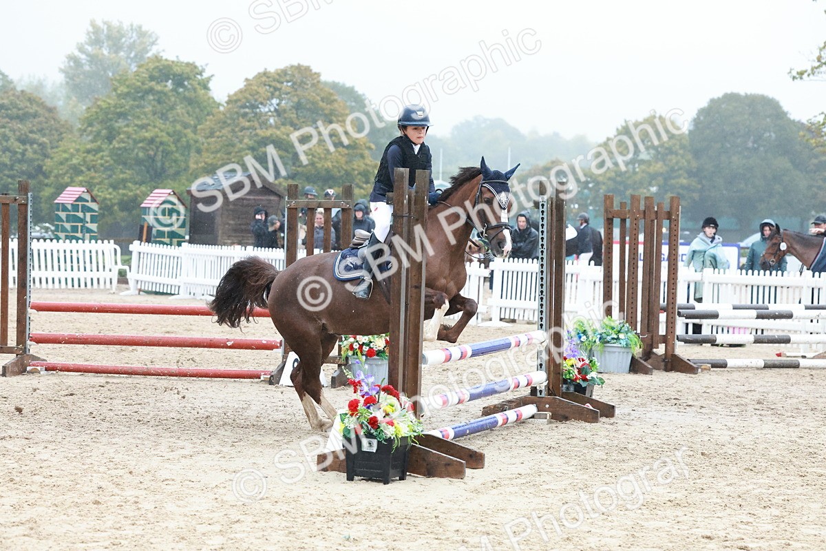 SBM_73434 - Supreme Championship Junior Pony 60cm & 65cm
