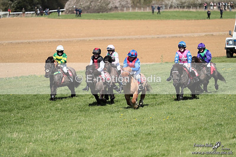 Shet 060426 255 - Shetland Pony Racing Paxford Races Easter Mon 06/04/26