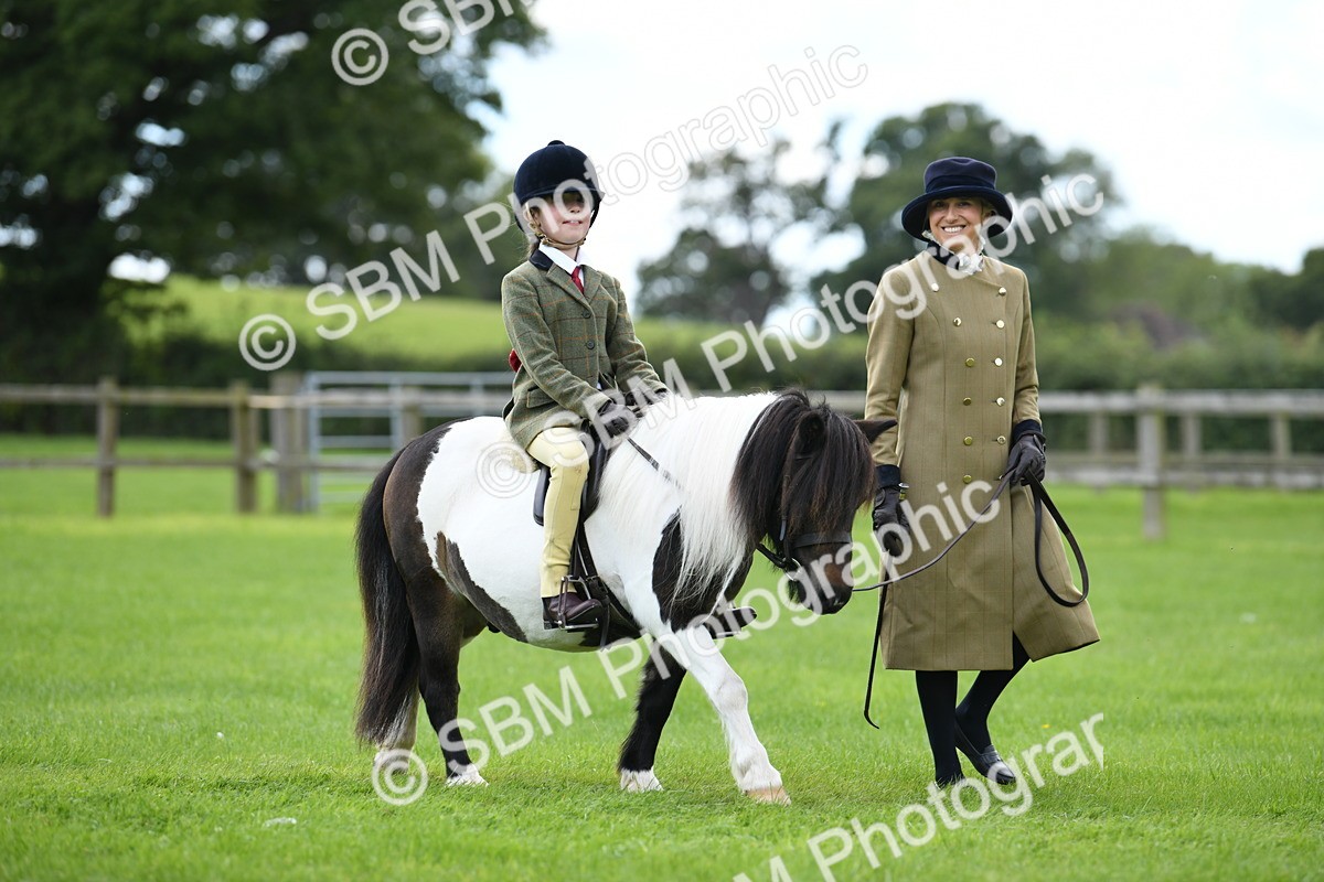 SBM_42403 - S20 - Lead Rein Mountain & Moorland Pony