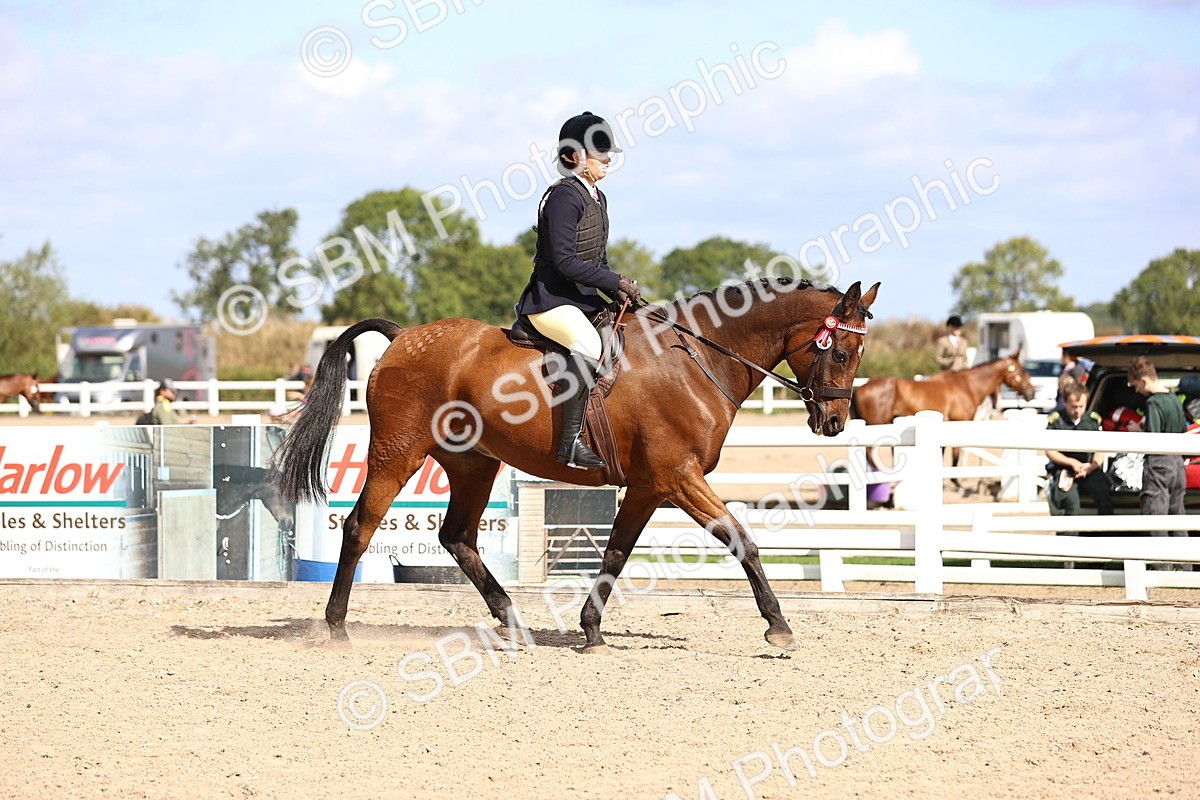 SBM_11585 - Class 408 - Grassroots Ridden - Walk & Trot