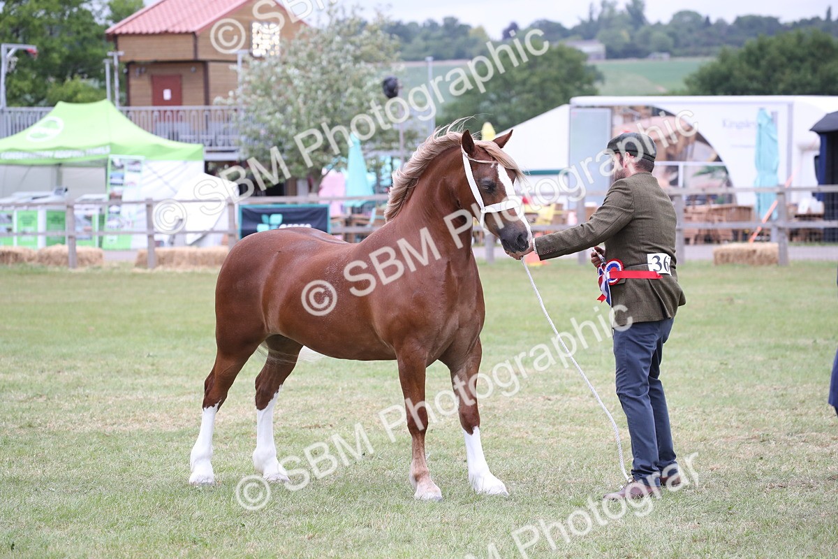 SBM_09877 - Ch 50 - Price Family Supreme In Hand