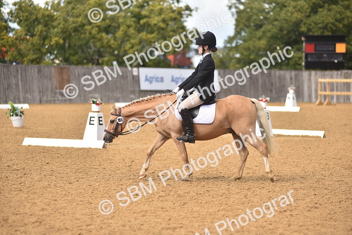 SBM_48673 - D22 - Junior Championship Intro 3