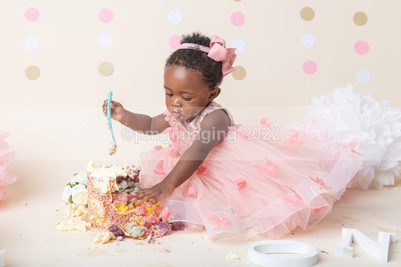  - Cake Smash Portraits