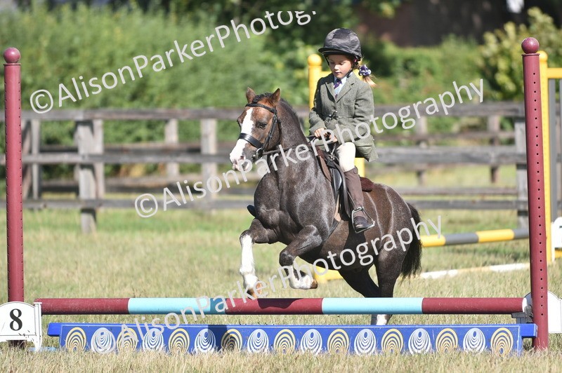 20260906-1001 - Class 7 - Absolute Novice Jumping 35cm