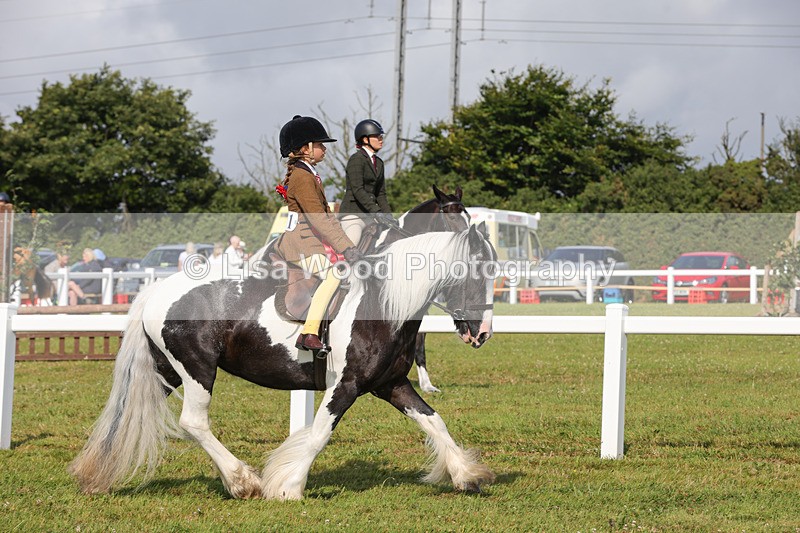 1X9A3471 - Skewbald and Piebald Ridden Championship