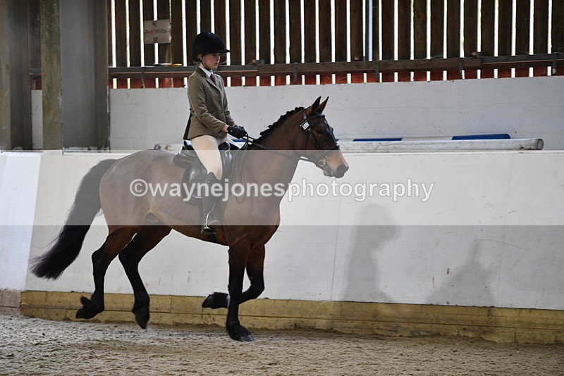WJ5_7241 - Class 11 Ridden PC - RC Pony