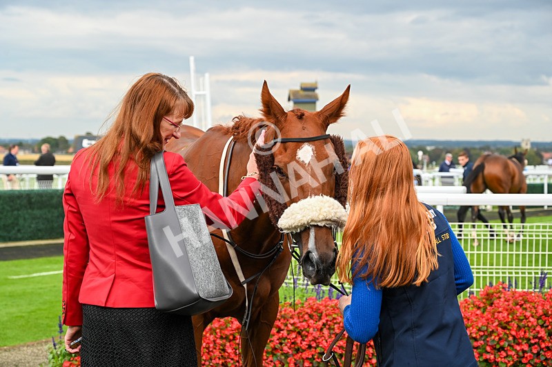 240924-Race 5-Ifonlytheycudtalk-6019 - Race 5